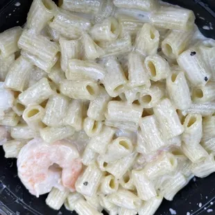 Rigatoni Pasta/Alfredo with shrimp