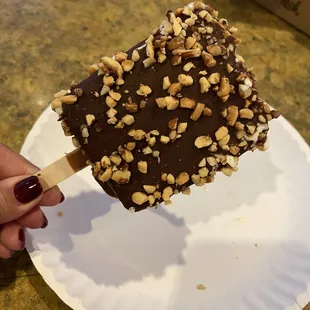 Dipped ice cream bar