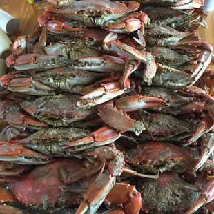 Steam crabs with old bay seasoning.