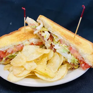 a plate of chips and a sandwich