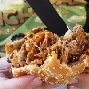 The D.U.B.B. burger, $10! really huge, worth every penny!!