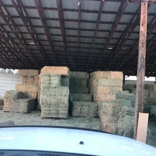 Stocking up!