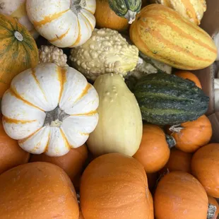 Dan's Farmers Market