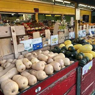 a display of squash and squash