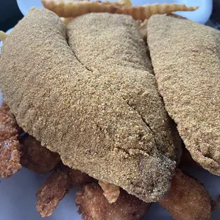 Tilapia