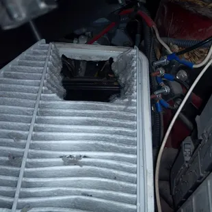 Wow! That must be one tasty air filter!