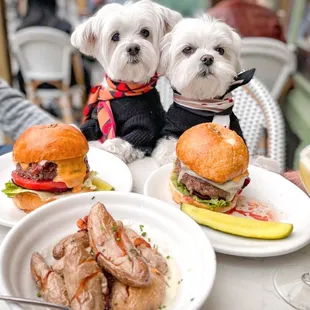 Dante burger and baked potato side