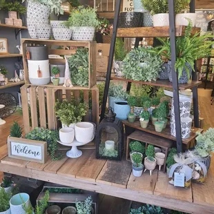 Lots of flower pots and silk greenery