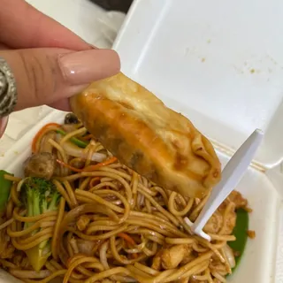 M9. Fried Dumplings (6 piece)