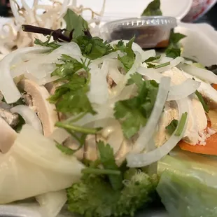 Chicken pho tai, broth was on the side and piping hot