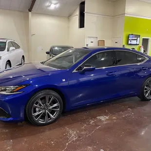 10 year paint protection film, and window tinting