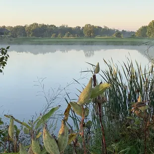 Just another one of "those kinda days"!