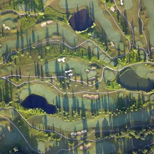 Early morning shadows.