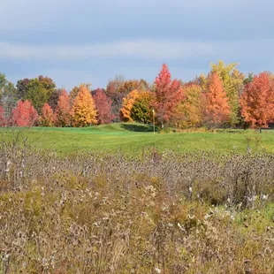 Fall Colors in the country!