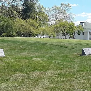 Equine Cemetery