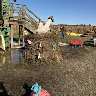 Everything was waterlogged from the rain