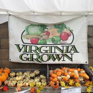 They are NOT out of their Gourds!  Yahoo!