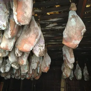 VIP Tour!  This is the Curing Barn where they told me how they make their Homemade Dry-Cured Hams!