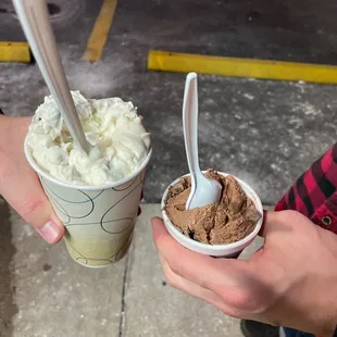 Dari-Land Ice Cream