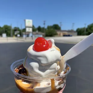 Turtle sundae
