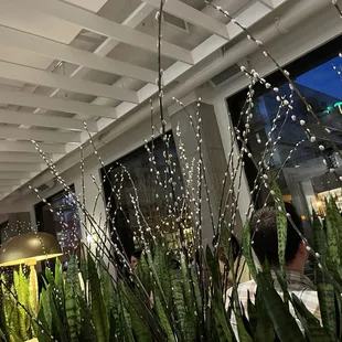 Pretty setting