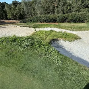 Typical areas around bunkers are not maintained