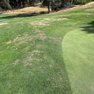 Typical conditions around greens