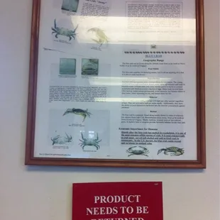 Crab education - return policy