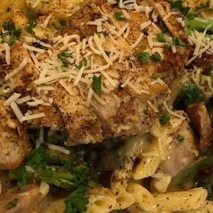 Blackened Chicken Alfredo