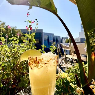 Passion fruit margarita