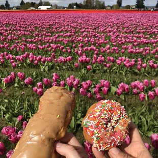 A little beat up from the trip to the tulips, but so delicious. The Maple Bar specifically was incredible!