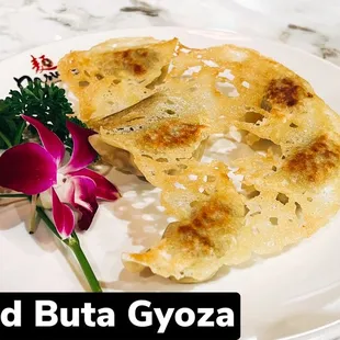 Winged Buta gyoza