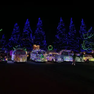 2020 Darvel Court Display