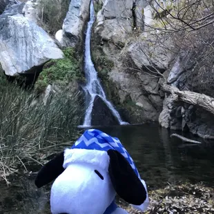 1 mile trail ends here...it's short, some water crossing that might get your feet wet