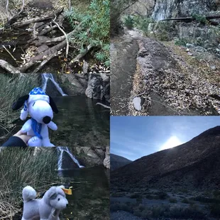 An easy 1 mile hike to the waterfall and observe the changing from dry land to the creek