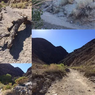 The day was perfect, could tell we were close!