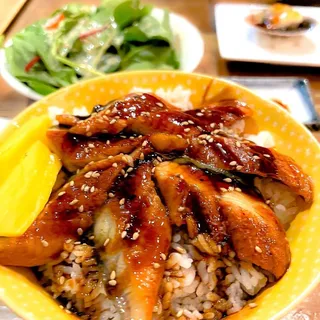 Unagi Don
