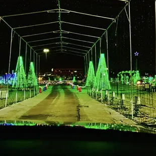 Dasher's Light Show