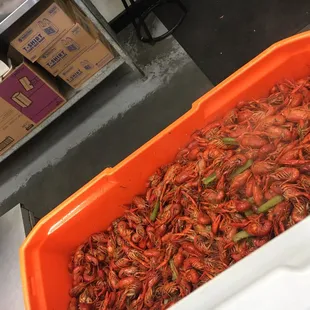 Best crawfish in Algiers!  $5.50/lb as of 2/28/18. Shrimp $8.99/lb.