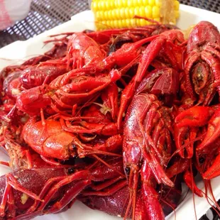 Up close and personal with my crawfish