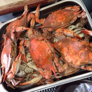 Crabs!