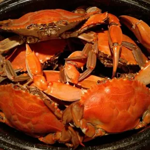 Blue Crabs..