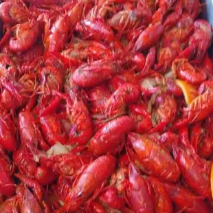 Cajun Style Boil Crawfish