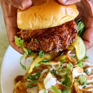 poultry, fried chicken wings, chicken wings and fried chicken, chicken wings, fried chicken, chicken, food, bbq chicken, bbq wings