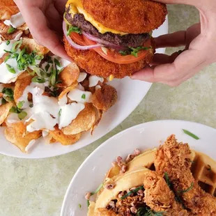 chicken, food, chicken wings, chicken wings and fried chicken, fried chicken, poultry, fried chicken wings, bbq chicken, bbq wings