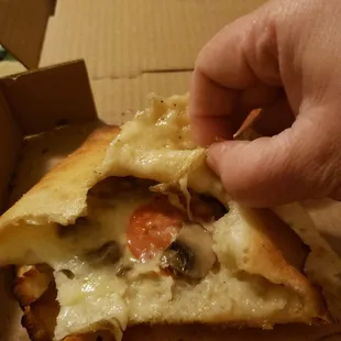 This is what they called pepperoni and mushroom calzone  I never had this problem before  This is the worst service ever cold