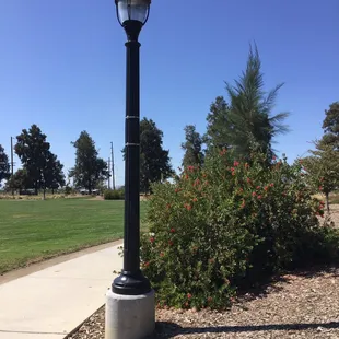 I love these light posts. They look somewhat Victorian.