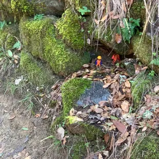 Men at work. Making sure dinosaurs stay safe.