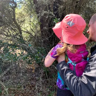 Looking for more dinosaurs high up