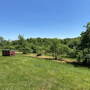 Views from outside dining